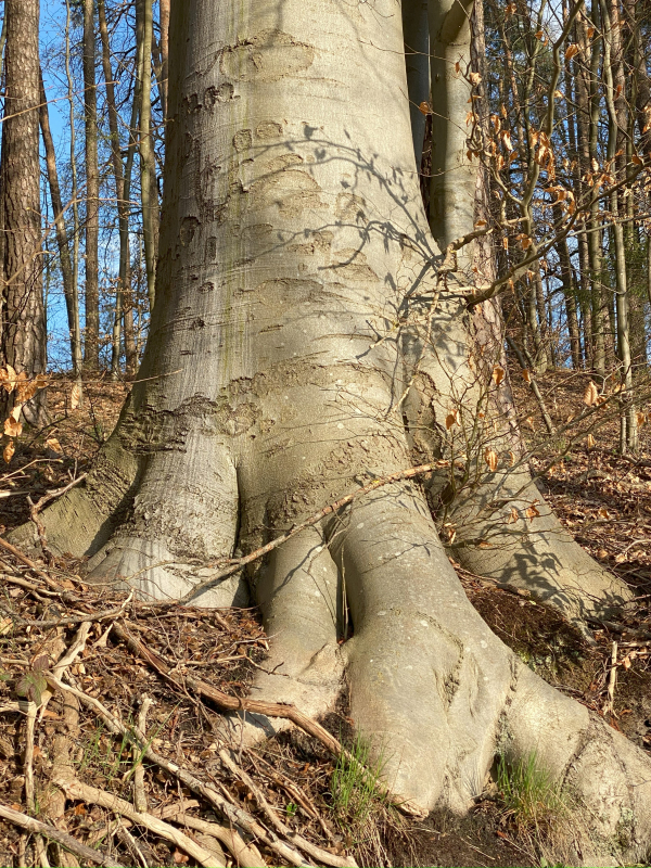 Inneren Halt finden in der materiellen Struktur des Krpers